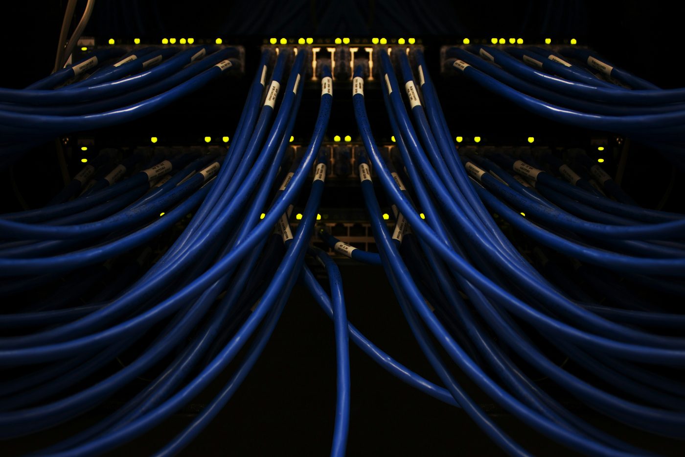 Network cables patched into switches in a data centre